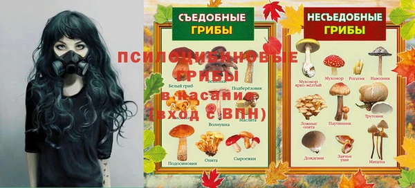 соль ск Кулебаки